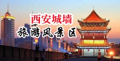 欧美肏荡妇中国陕西-西安城墙旅游风景区